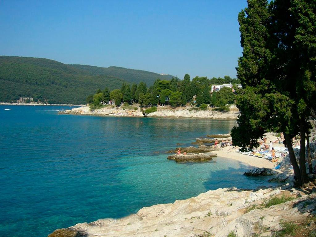 Apartment Amalia Labin  Εξωτερικό φωτογραφία