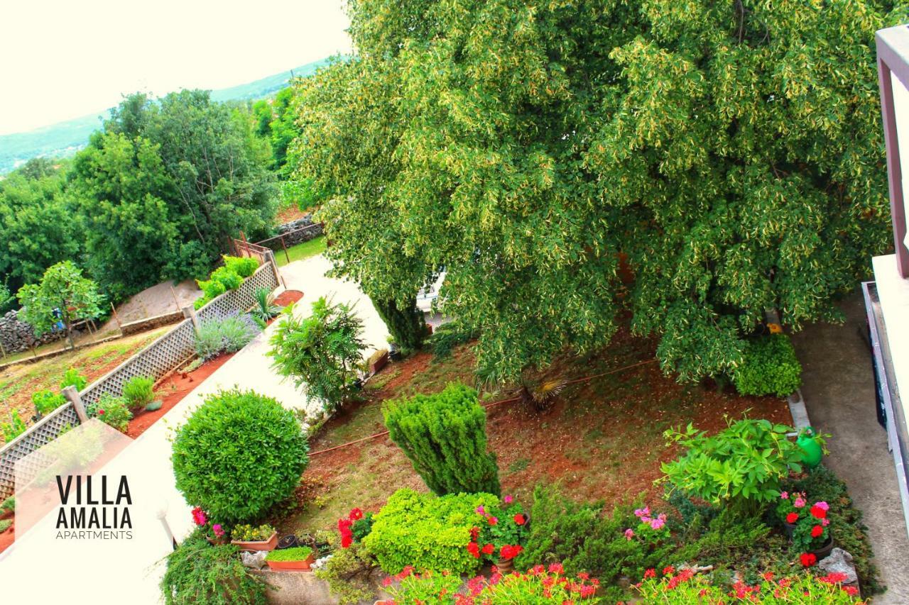 Apartment Amalia Labin  Εξωτερικό φωτογραφία